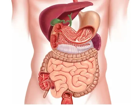 Gastroenterology