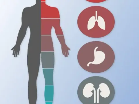General Medicine 1