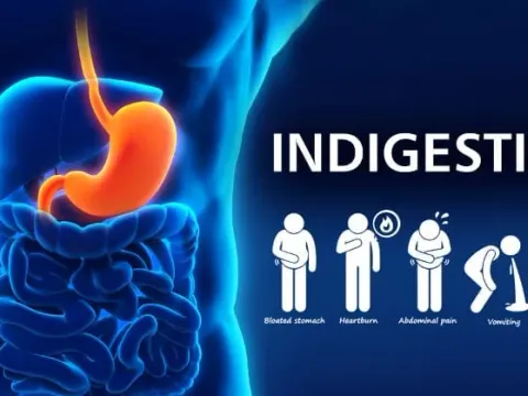 Gastroenterology at Pranav Ayur Hospitals
