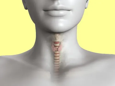 Thyroid care ayur