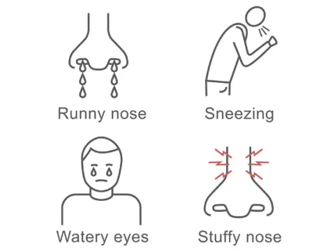 Allergic rhinitis symptoms
