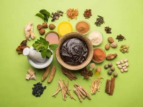 Diet & Lifestyle-Wellness