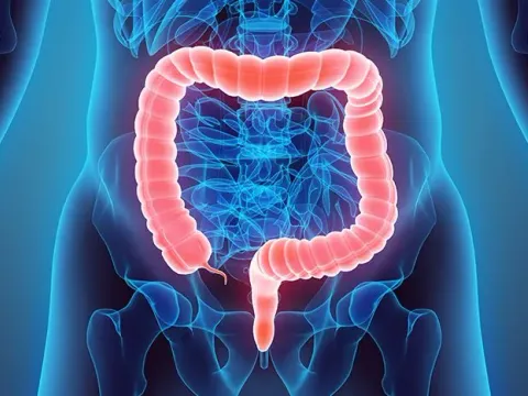 General Surgery & Proctology