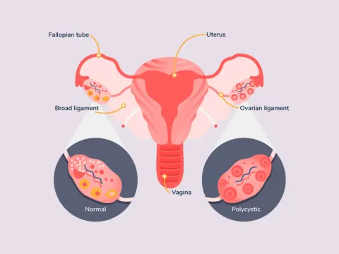 Obstetrics and Gynaecology