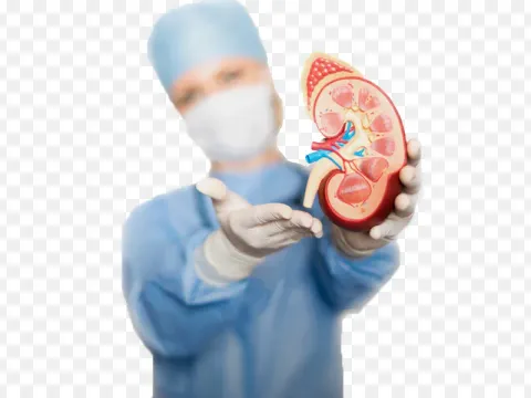 Nephro-Urology