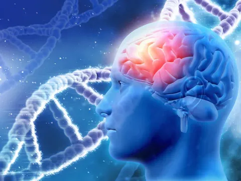 Neurology