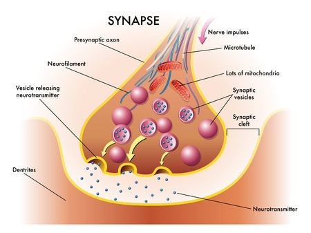 how acupuncture works Pranav Ayur Hospitals 1